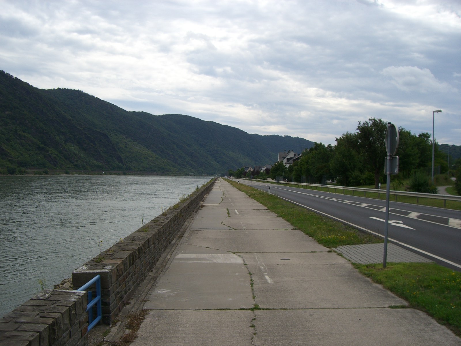 Rhein bei St. Goar