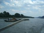 Rhein