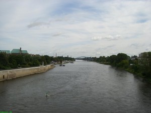 Elbe bei Magdeburg