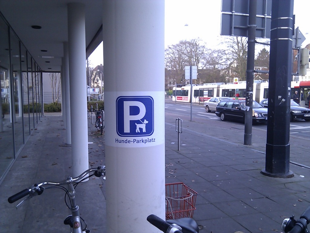 Hundeparkplatz