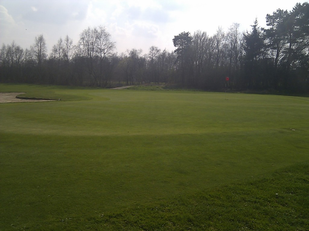 Golfplatz Grün